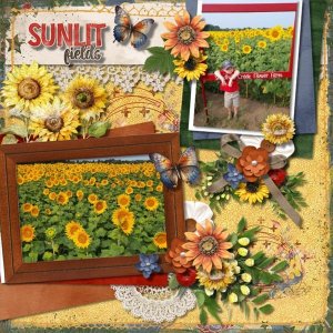 Sunflowers