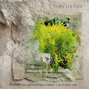 Turn the Page