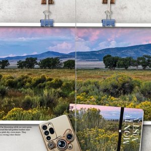 Rabbitbrush (mvnwr)