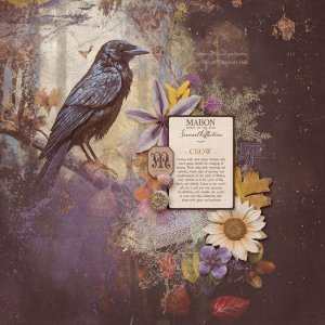 The Crow