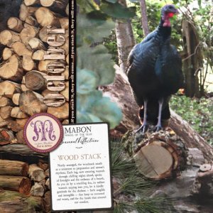 Seasonal-Reflections_Mabon