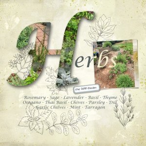 Herb Garden
