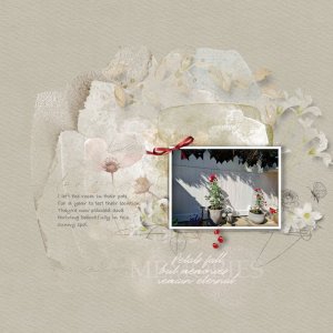 Story in Petals.jpg