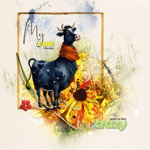 My Obsession with Cows