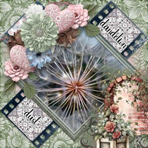 Dandelion Dust