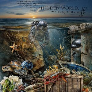 Wonders below the Sea
