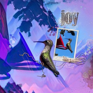 hummingbird