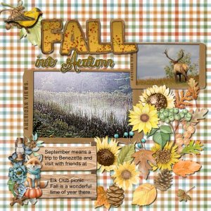Fall Into Autumn
