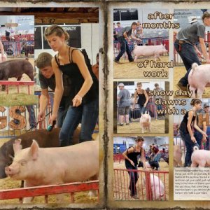 pig-show-double-page-1&2-web.jpg