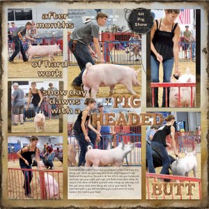 pig-show-2-web.jpg
