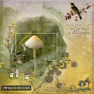 Mushrooms