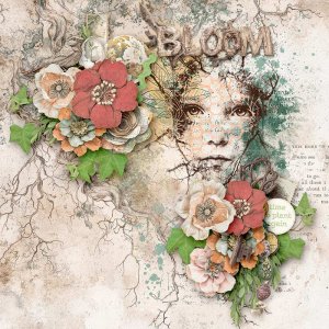 Bloom and Grow