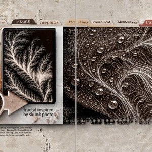 Skunk Fractal