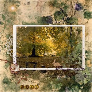 Fall