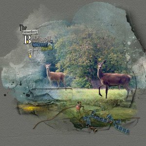 Bridwell Deer