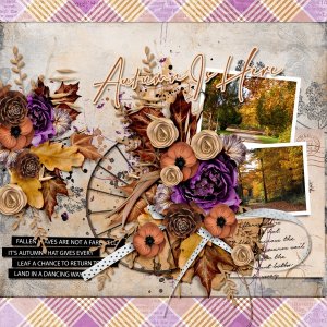 Autumn is Here