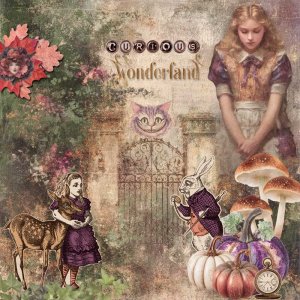 The-Forgotten-Wonderland-AW.jpg