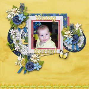 Young Sprout