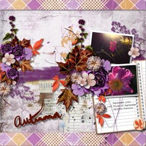 Last Summer Flower