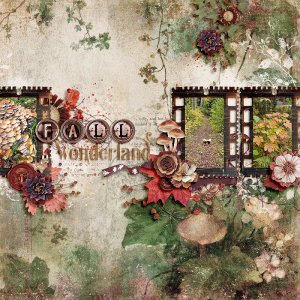 Fall Wonderland