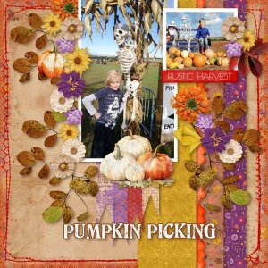 Pumpkin Picking