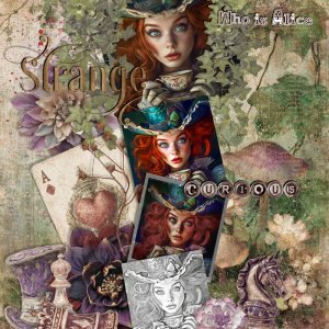 Who is Alice