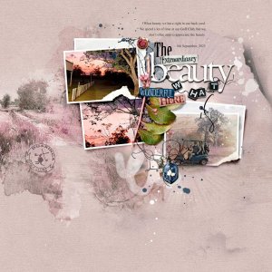 The Extraordinary Beauty