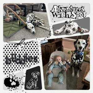 Adventures with Spot.jpg
