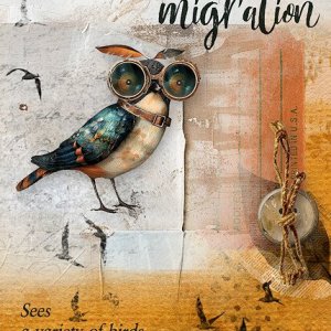 ATC Fall Migration