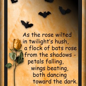 ATC-2025-101-As-the-Rose-Wilted