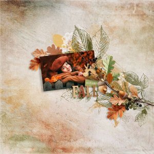 Fall days by et designs