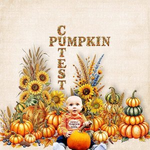 cutest pumpkin