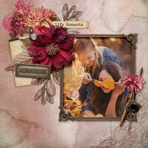 Fall Memory