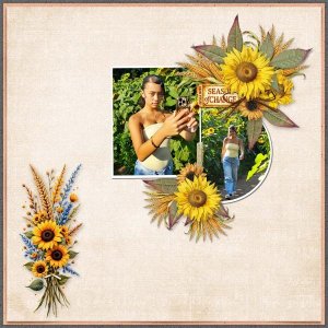 Cornucopia-Loriann-01