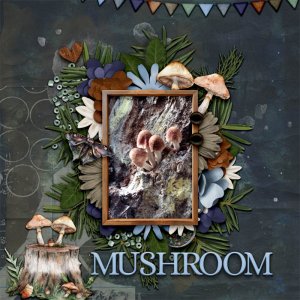 mushroom
