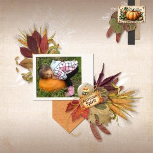 cornucopia-loriann-02