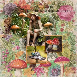 Mushrooms are Beautiful