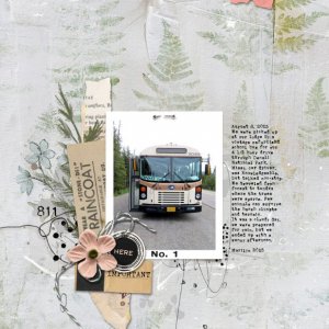 Intrinsic-No4