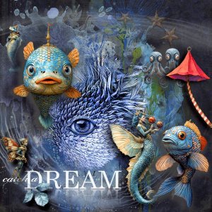 Catch a Dream.jpg