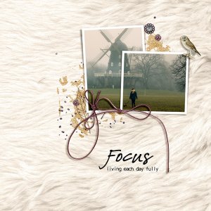 Focus