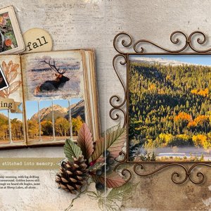 Elk Bugling