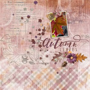 October Challenge #4 - Occasions and Themes autumn-leaves.jpg