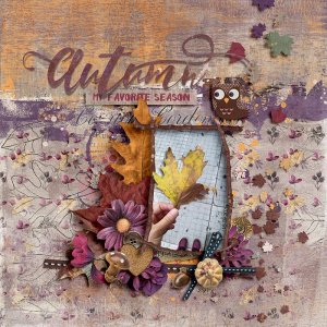 The Scent Of Fall