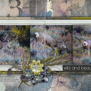 Wild and Beautiful