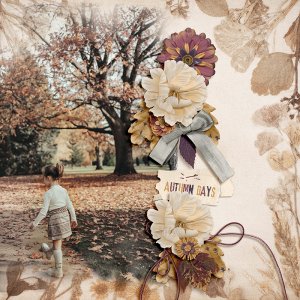 Autumn Days