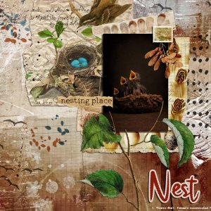 Nest