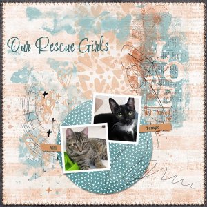 Our Rescue Girls