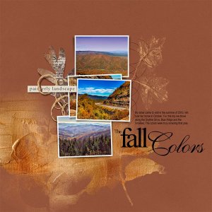 Fall-Colors