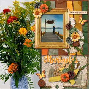 Marigolds