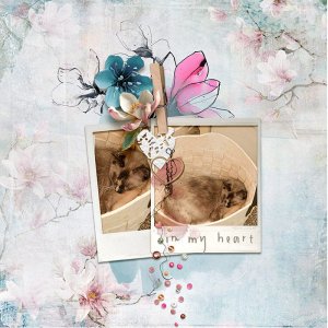in my heart